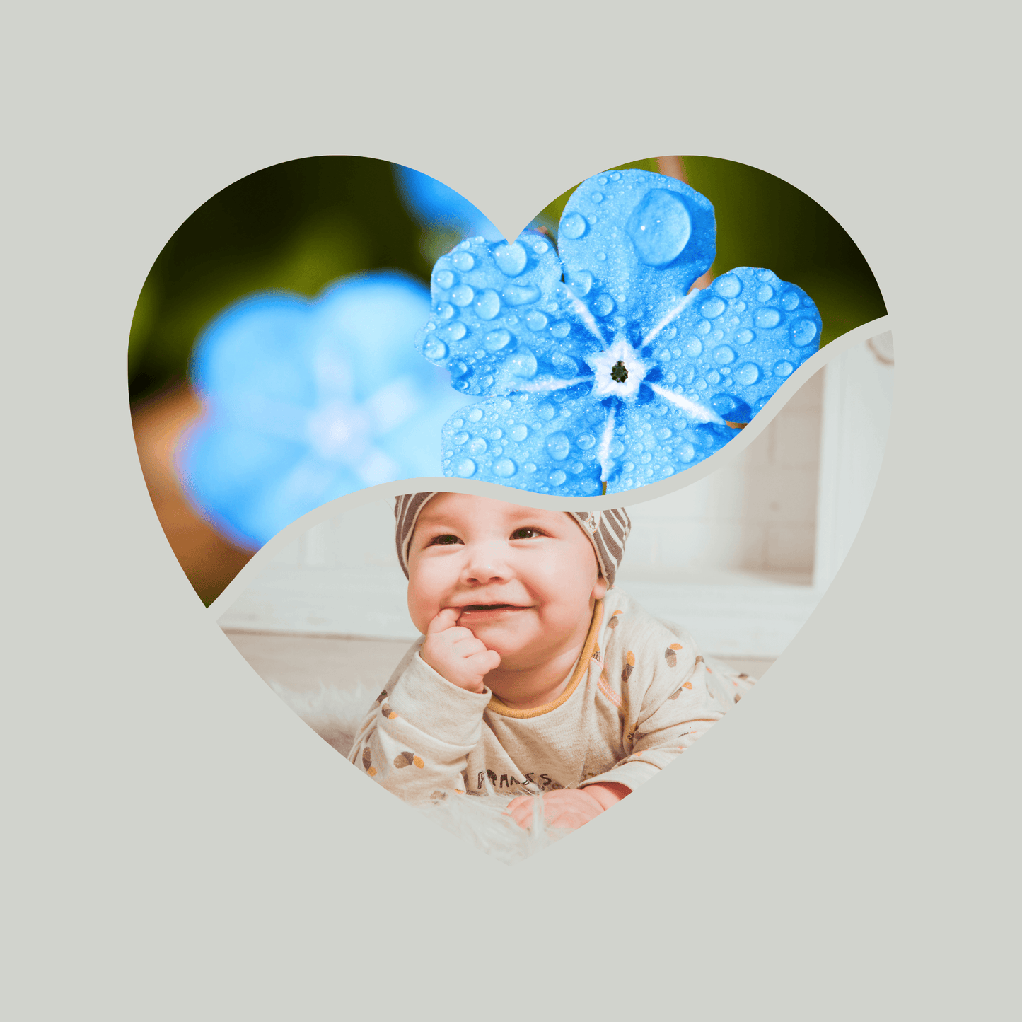 Canva Templates - Frames - Hearts | SHALMIAK