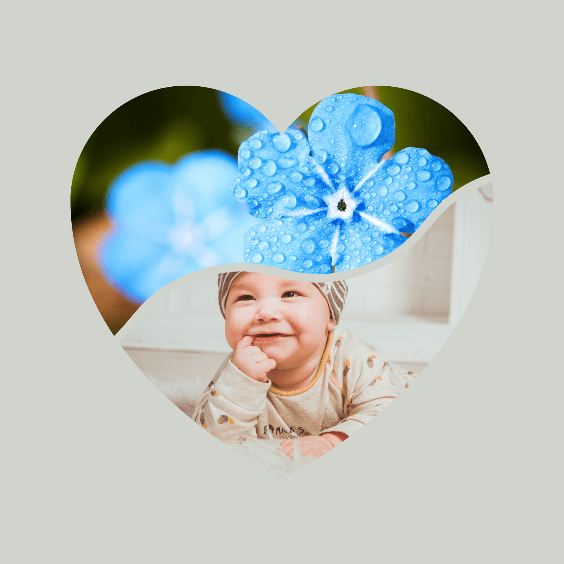 Canva Templates - Frames - Hearts | SHALMIAK