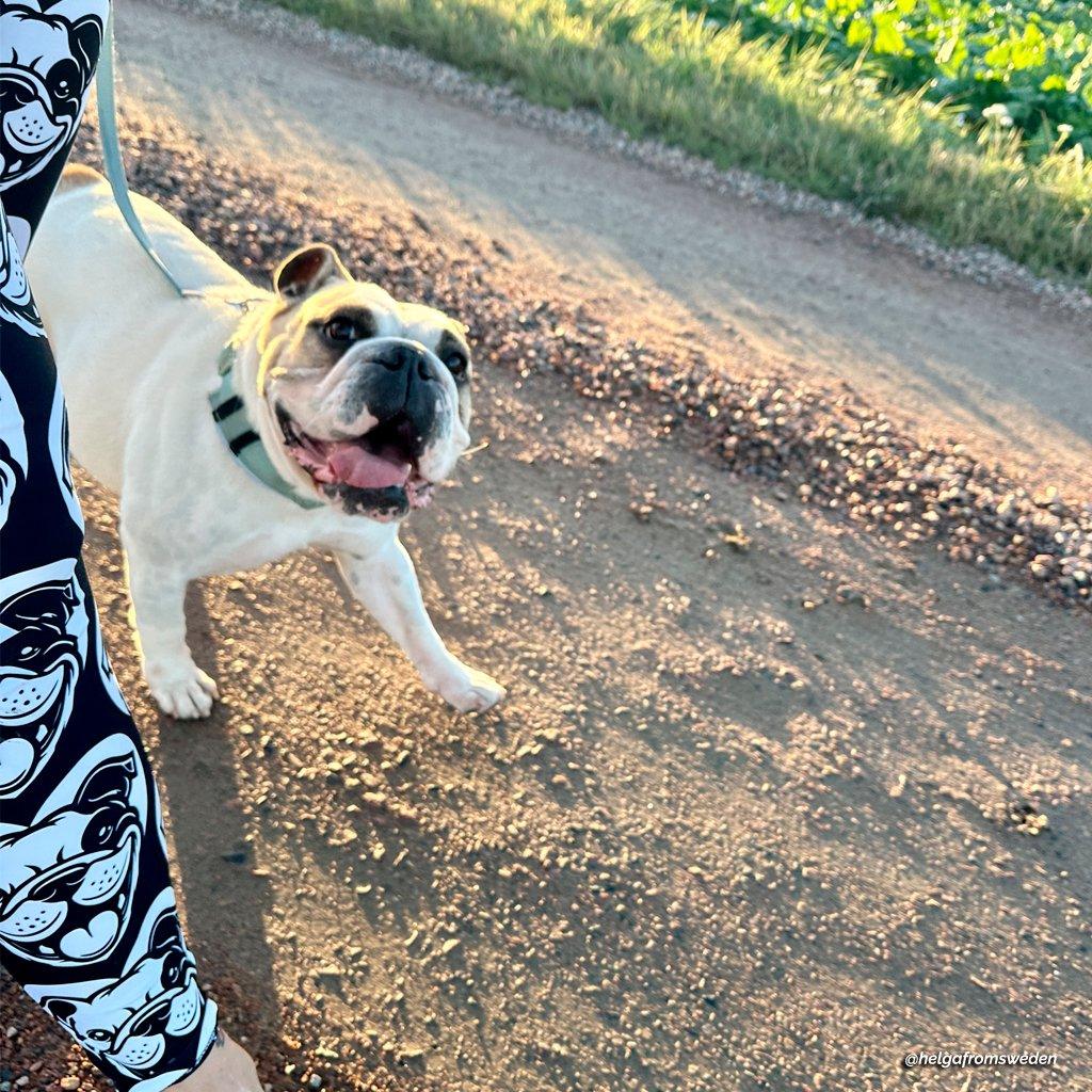 DOG BREED LEGGINGS with pockets - BULLDOG ENGLISH BOSTON - HERTTAHOUND | SHALMIAK