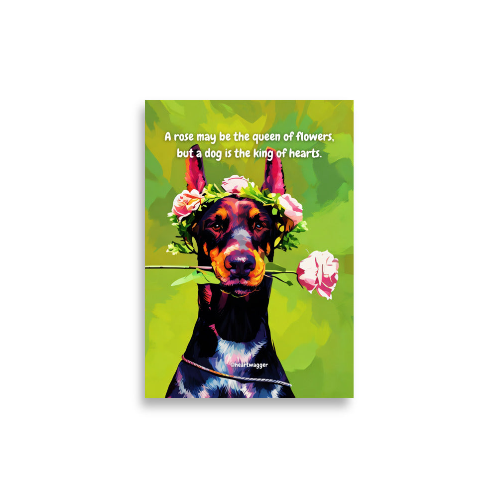 Poster - A rose may be the queen of flowers, but a dog is the king of hearts | SHALMIAK