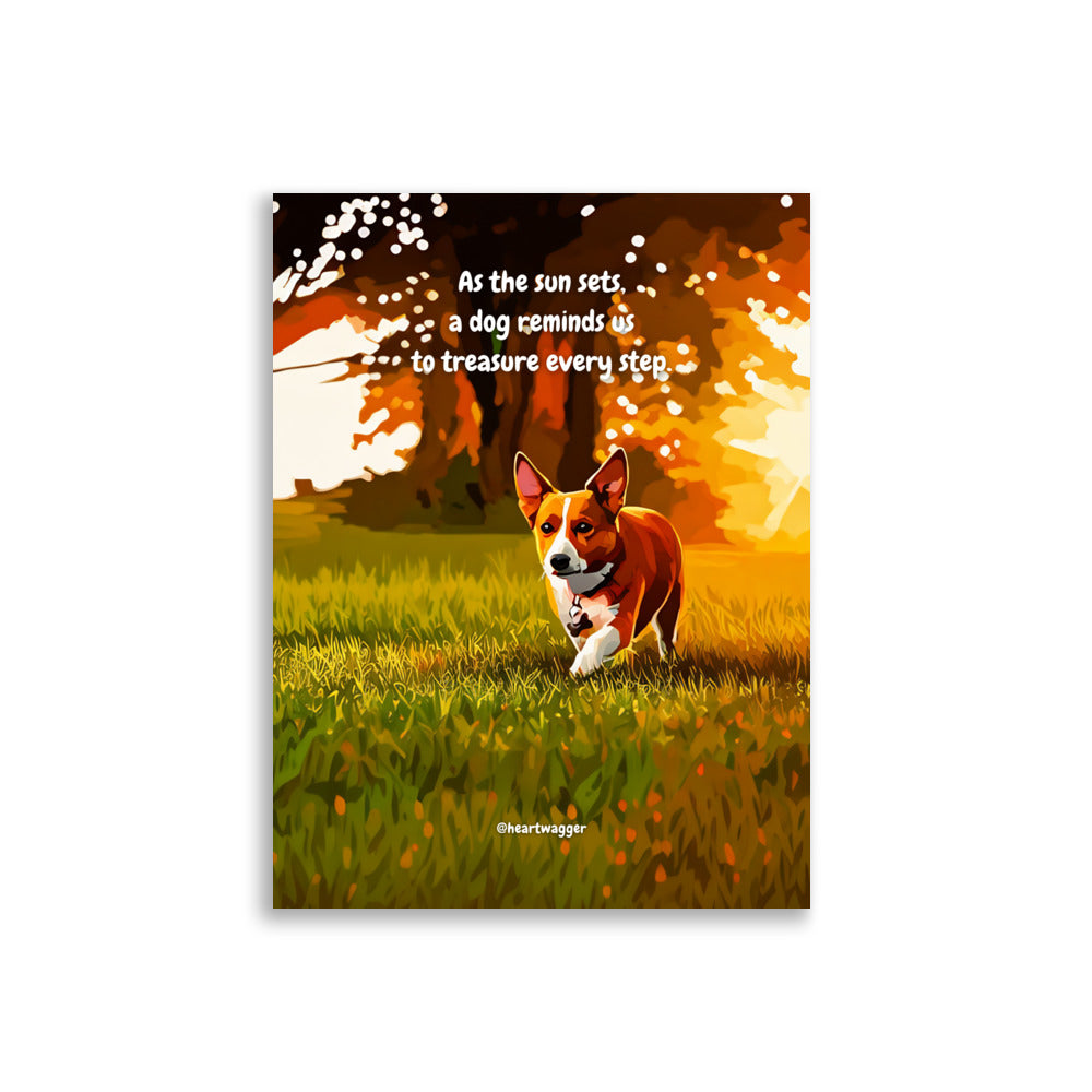 Poster - As the sun sets, a dog reminds us to treasure every step | SHALMIAK