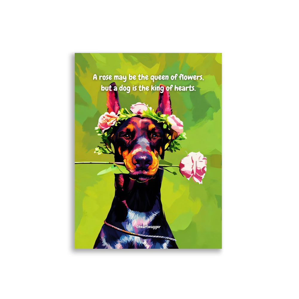 Poster - A rose may be the queen of flowers, but a dog is the king of hearts | SHALMIAK