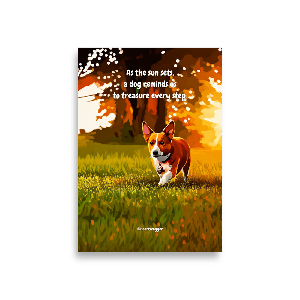 Poster - As the sun sets, a dog reminds us to treasure every step | SHALMIAK