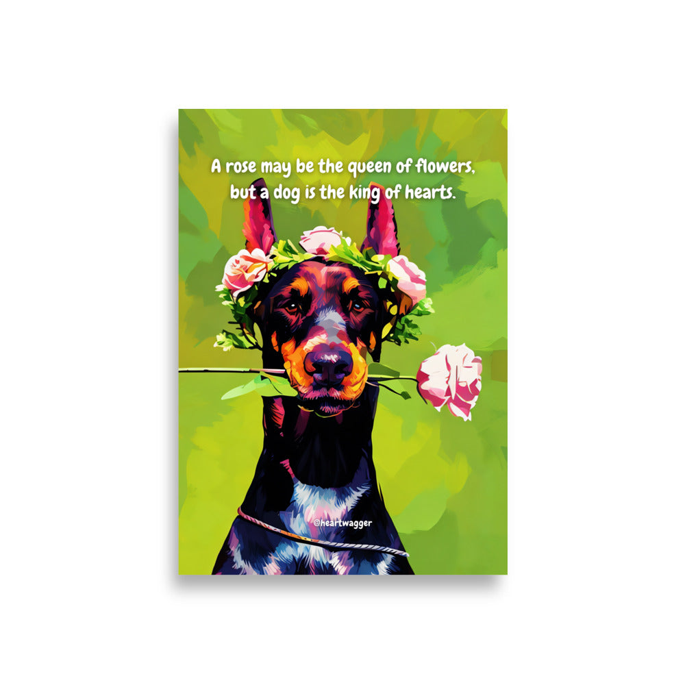 Poster - A rose may be the queen of flowers, but a dog is the king of hearts | SHALMIAK