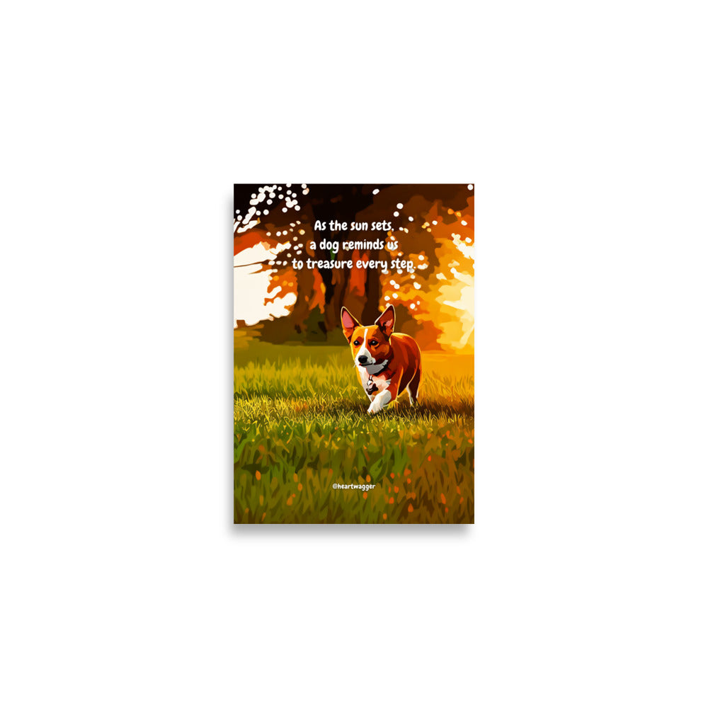 Poster - As the sun sets, a dog reminds us to treasure every step | SHALMIAK