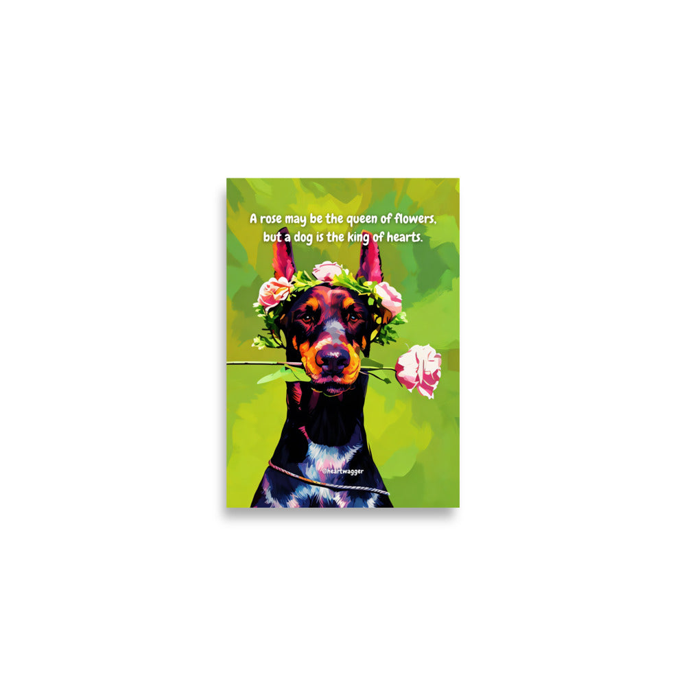 Poster - A rose may be the queen of flowers, but a dog is the king of hearts | SHALMIAK