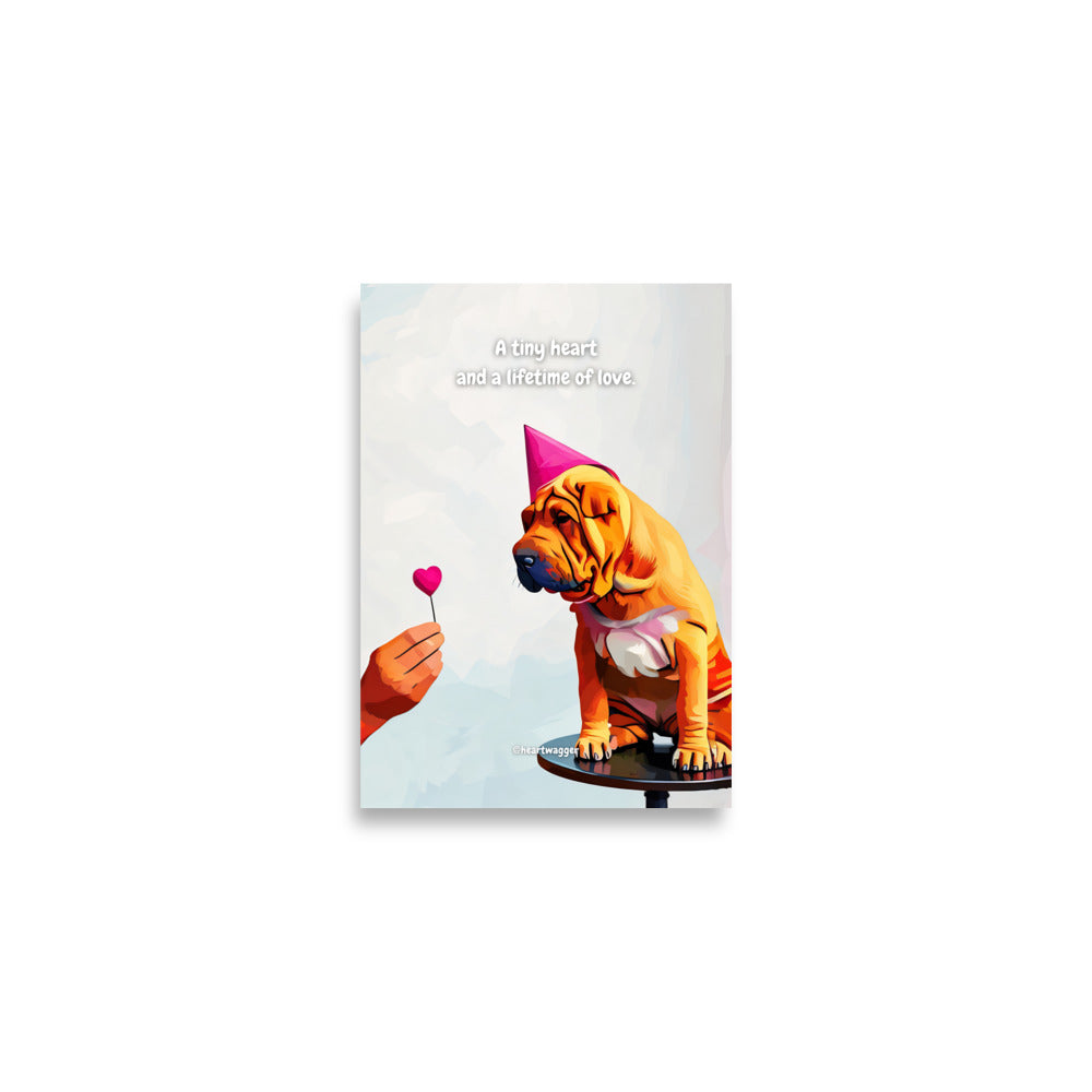 Poster - A tiny heart and a lifetime of love