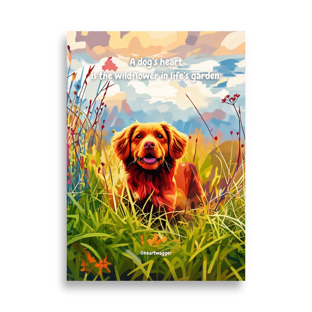 Poster - A dog’s heart is the wildflower in life’s garden 50×70 cm