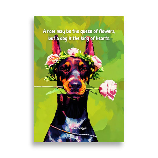 Poster - A rose may be the queen of flowers, but a dog is the king of hearts 50×70 cm