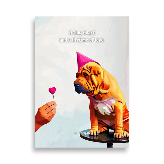 Poster - A tiny heart and a lifetime of love 50×70 cm
