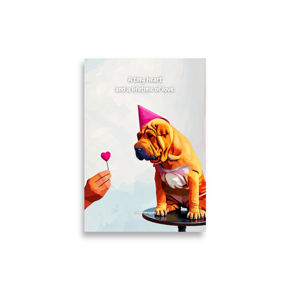 Poster - A tiny heart and a lifetime of love 21×30 cm