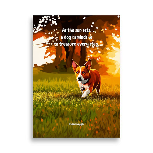 Poster - As the sun sets, a dog reminds us to treasure every step 50×70 cm
