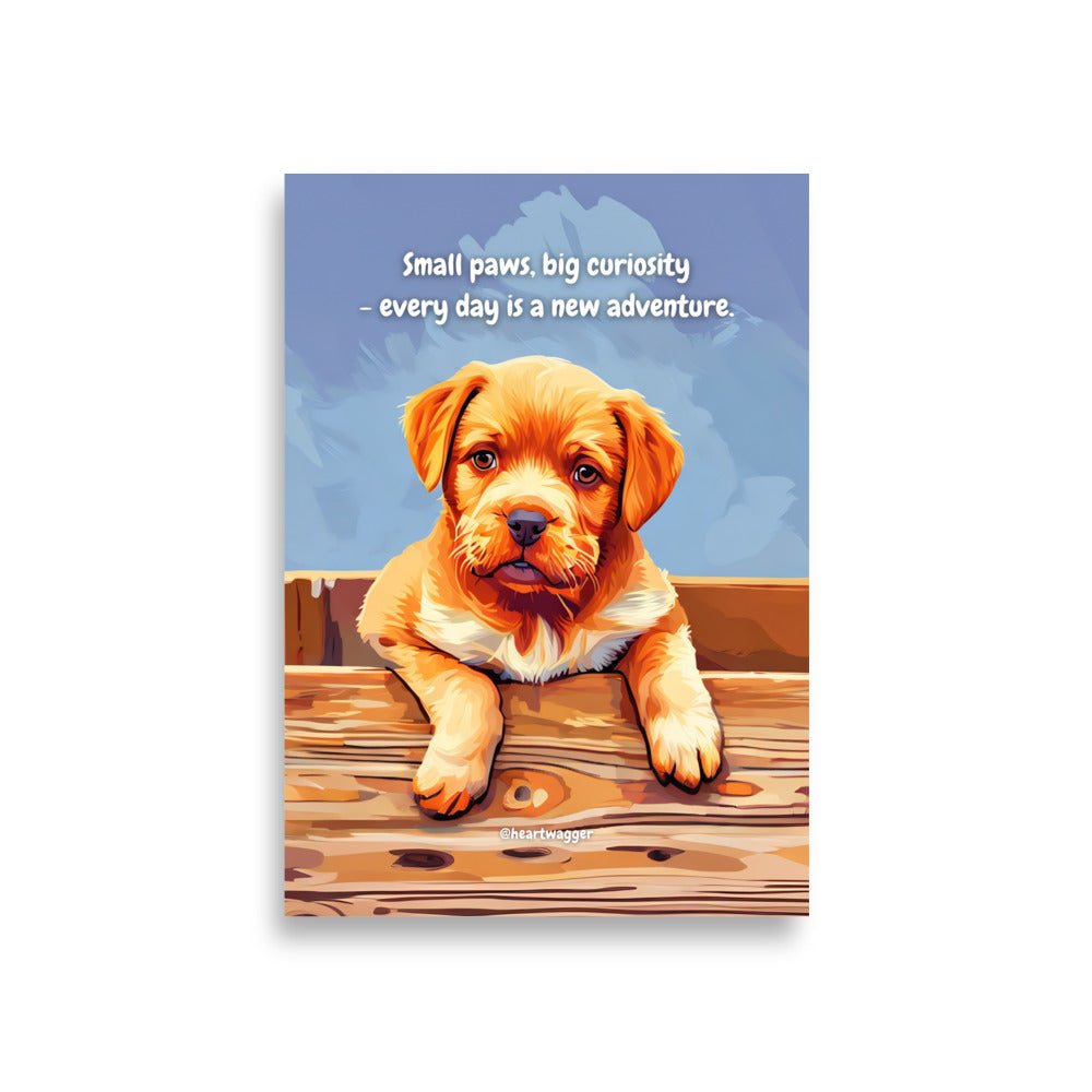 Poster - Small paws, big curiosity - every day is a new adventure A1 (59.4×84.1 cm)