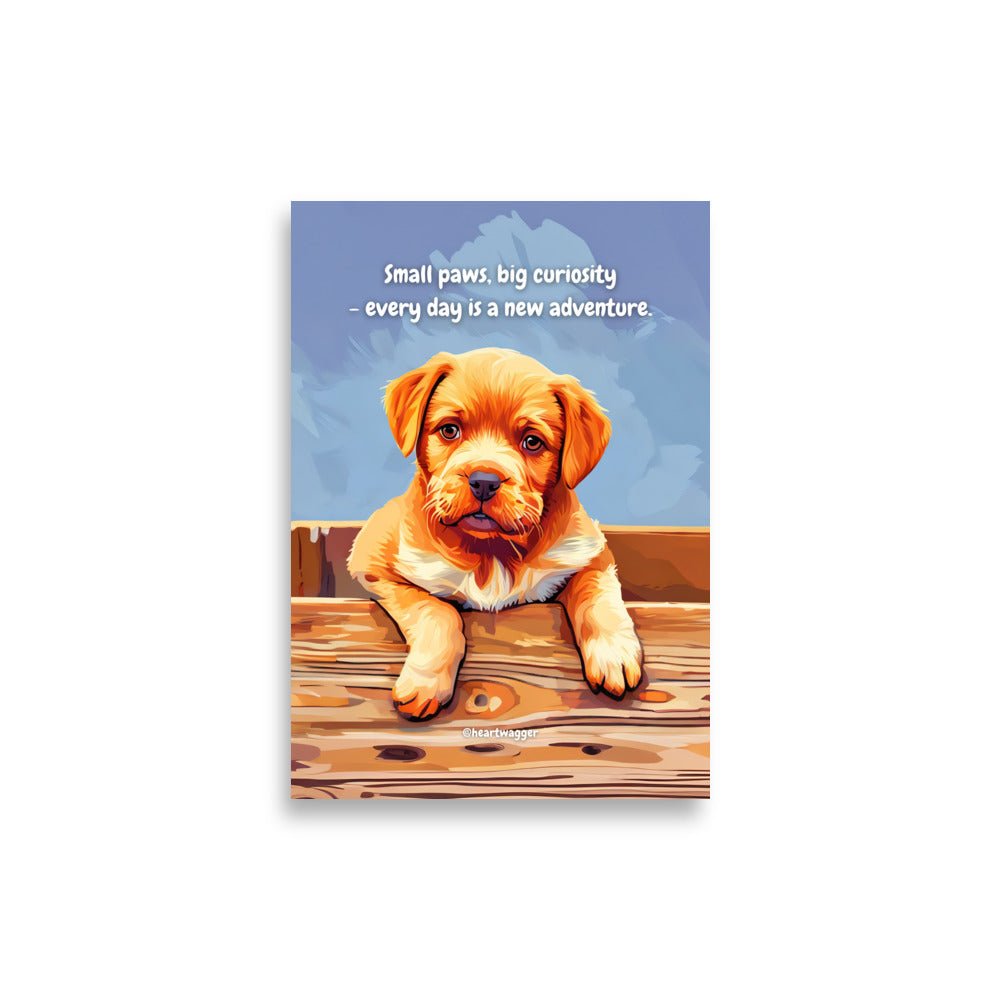 Poster - Small paws, big curiosity - every day is a new adventure 21×30 cm