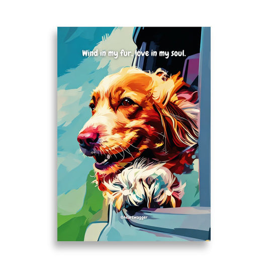 Poster - Wind in my fur, love in my soul 50×70 cm